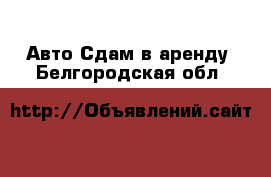 Авто Сдам в аренду. Белгородская обл.